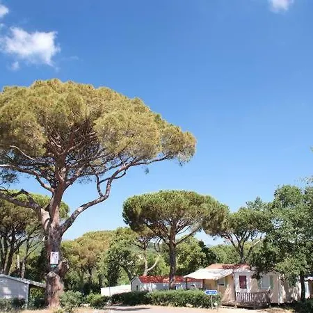 Parc Montana Saint Tropez